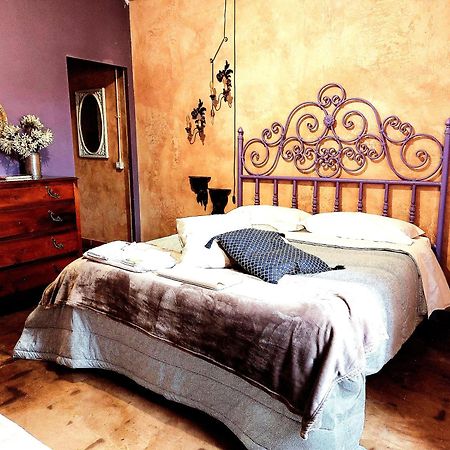 Alloggi Turistici Boccetta 27 Cerveteri Zewnętrze zdjęcie